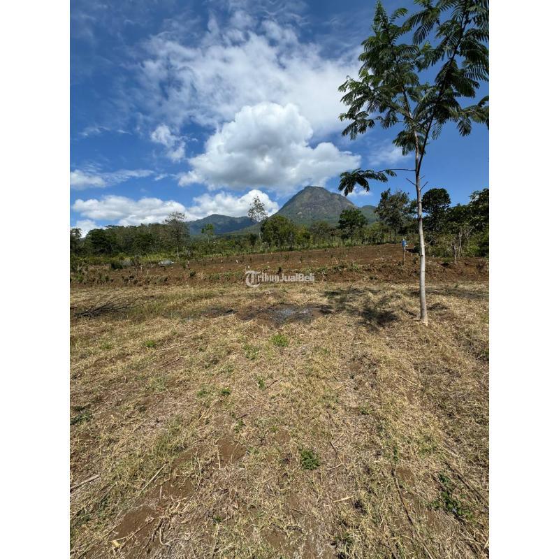 Dijual Tanah Luas 1200m2 Samping Perumahaan Atas BNS - Kota Batu