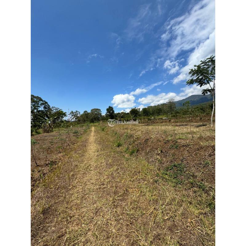 Dijual Tanah Luas 1200m2 Samping Perumahaan Atas BNS - Kota Batu