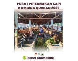 Pusat Peternakan Farm Hewan Qurban 2025 - Batam