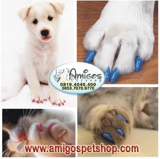 Pelindung Kuku Anjing dan Kucing Amigos Petshop - Makassar 