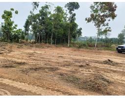 Jual Tanah Dekat Kampus Itera Luas 1200 meter Terima Shm Langsung An Pembeli - Lampung Selatan