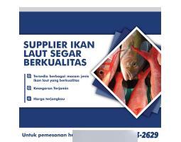 Supplier Ikan Laut Segar Bermacam Jenis Harga Terjangkau - Surabaya