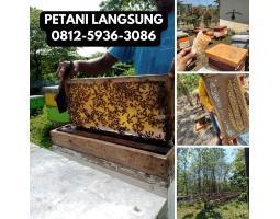 Termurah Grosir Madu Asli di Akasia - Jambi 