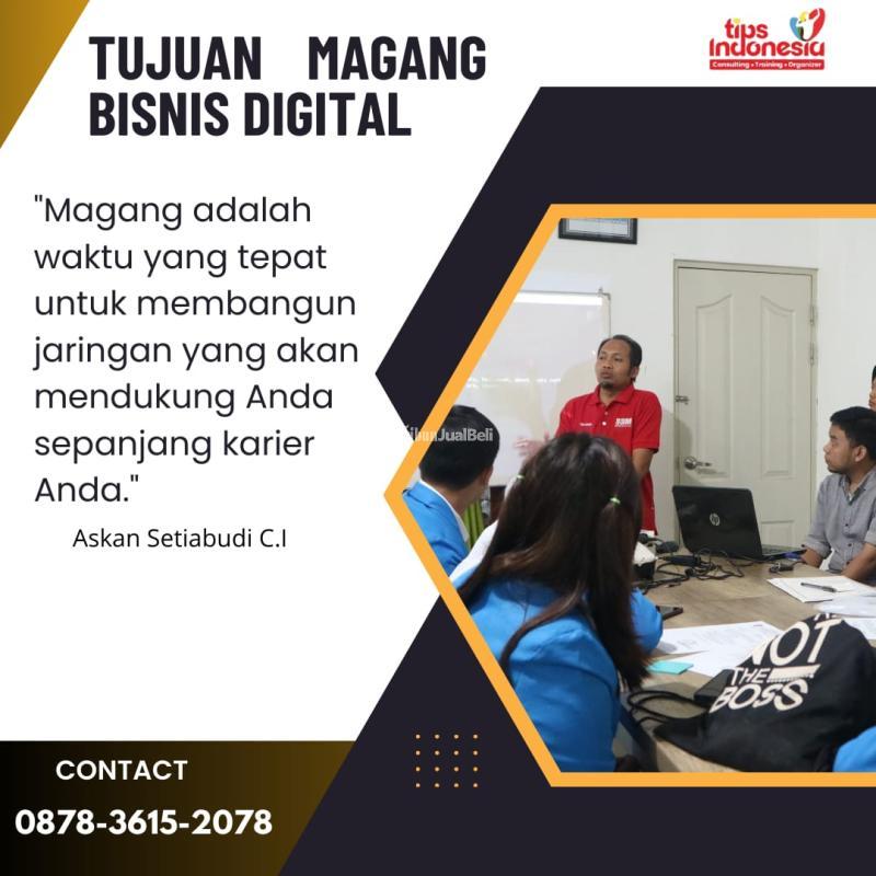 Magang Bisnis Digital Tips Indonesia - Malang