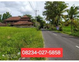 Dijual Tanah 2825 m2 Area Kaba-Kaba Dekat Seseh Munggu Bali - Tabanan 