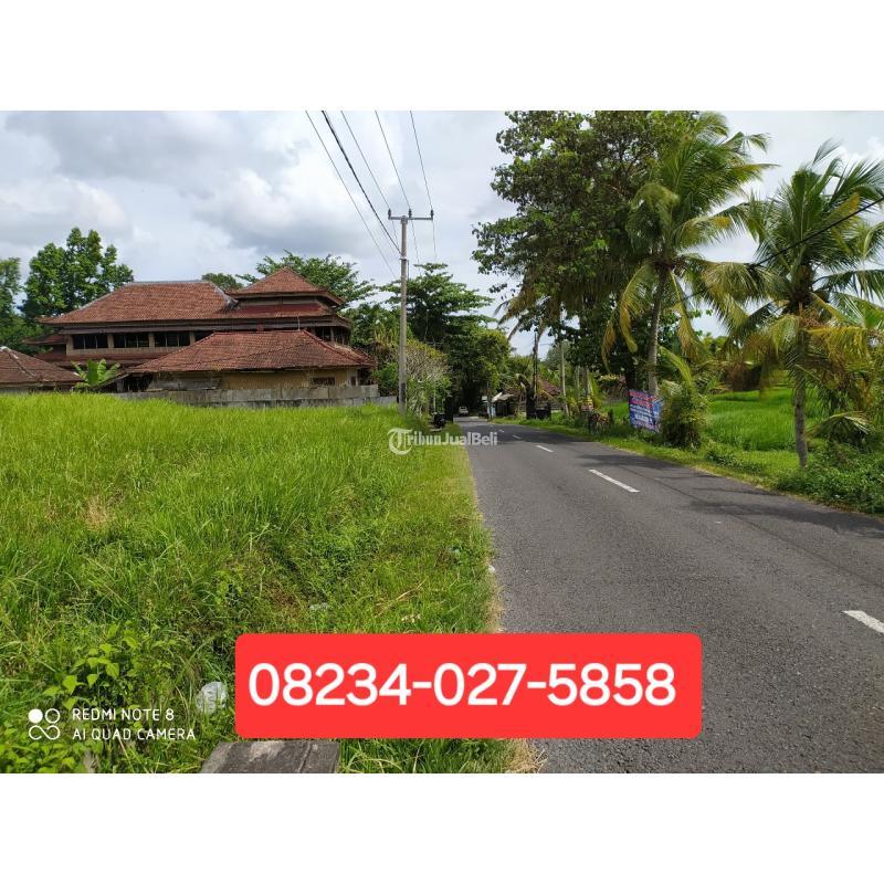 Dijual Tanah 2825 m2 Area Kaba-Kaba Dekat Seseh Munggu Bali - Tabanan