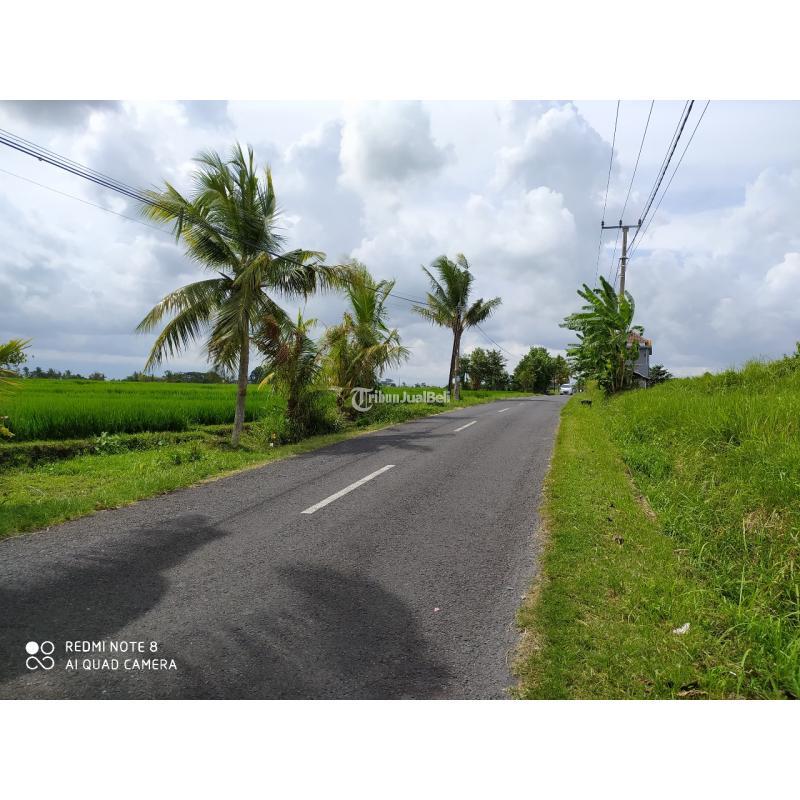 Dijual Tanah 2825 m2 Area Kaba-Kaba Dekat Seseh Munggu Bali - Tabanan