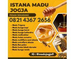 Madu Mantrijeron Murni, Sehat, Asli, Istana Madu - Jogja