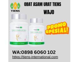 Supplier Obat Asam Urat Tiens - Wajo