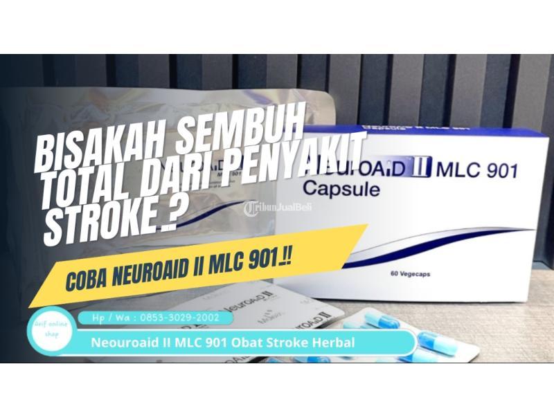 Bisakah Sembuh Total Dari Penyakit Stroke Coba NEUROAID II MLC 901 - Jakarta Pusat