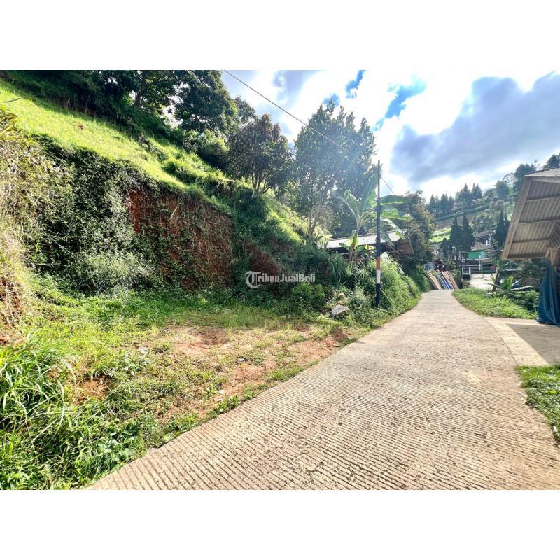 Dijual Termurah Tanah Luas 200 m2 Matang Siap Bangun Bukit Pakar Utara Dago - Bandung Kota