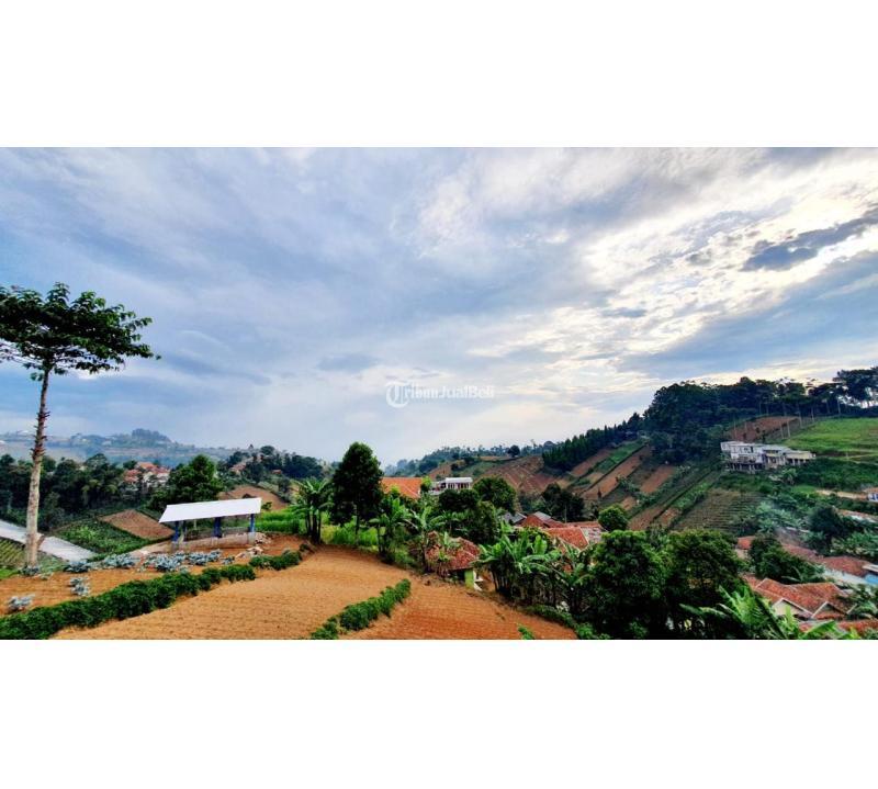 Dijual Termurah Tanah Luas 200 m2 Matang Siap Bangun Bukit Pakar Utara Dago - Bandung Kota