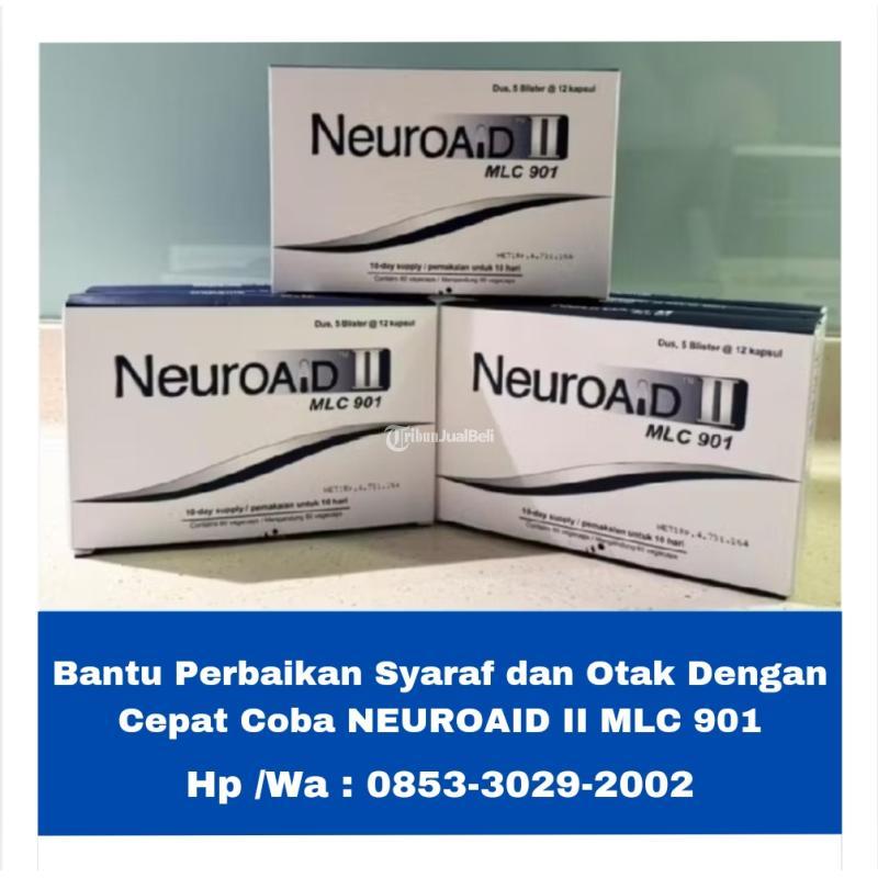 Bantu Perbaikan Syaraf Dan Otak Pasca Stroke Neuroaid II MLC 901 - Jakarta Pusat 