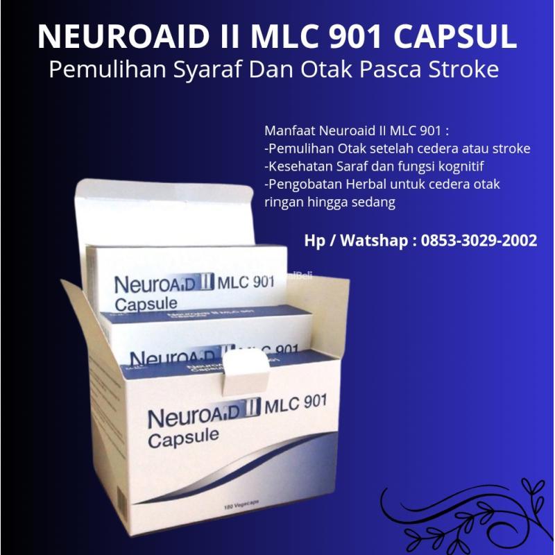 Pemulihan Syaraf Dan Otak Pasca Stroke Neuroaid II MLC 901 - Jakarta Pusat