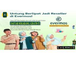 Daftar Reseller Evermos - Tangerang Selatan