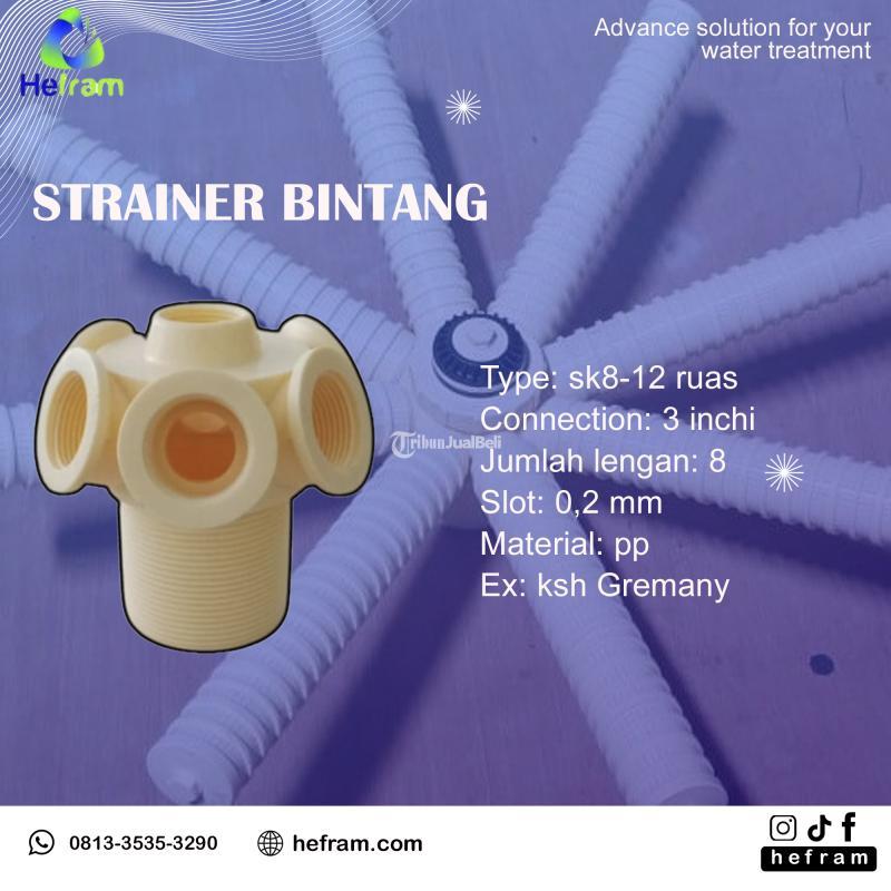 Strainer Bintang Kualitas Terbaik - Bogor 