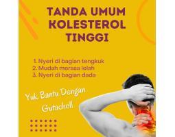 Jual Madu Herbal Untuk Kolesterol, Asam Urat dan Darah Tinggi, Gutachol, Mojokerto - Jawa Timur