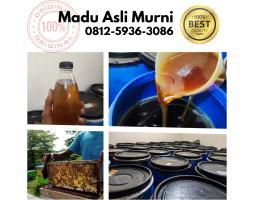 Grosir Madu Asli Murni Murah Terbaik di Indonesia Harga Murah - Bandung