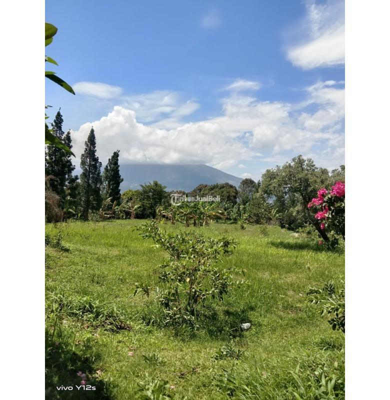 Dijual Tanah dan Kebun Durian Produktif di Caringin Kab Bogor - Bogor