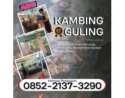 Kambing Aqiqah Terdekat Sate ABG di Campaka  - Bandung Kota