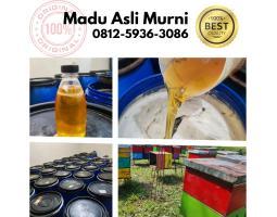 Grosir Madu Asli Murni Harga Murah Terbaik di Indonesia - Medan 