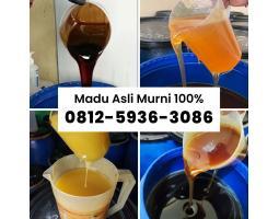 Grosir Madu Asli Murni Murah Supplier Madu Terbaik - Jakarta Selatan