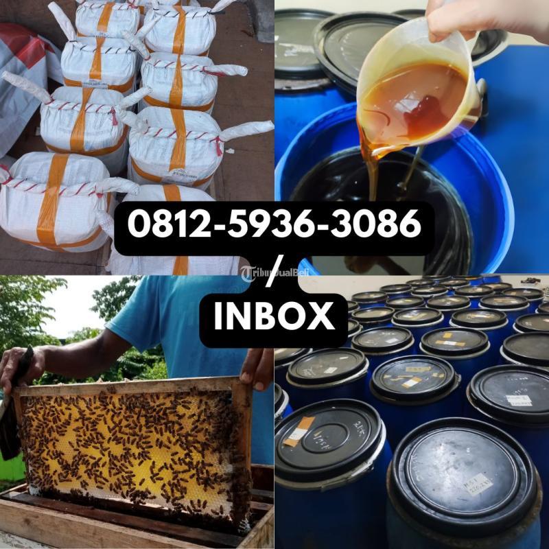 Grosir Madu Asli Murni Murah, Supplier Madu MurahTerbaik di Indonesia ...