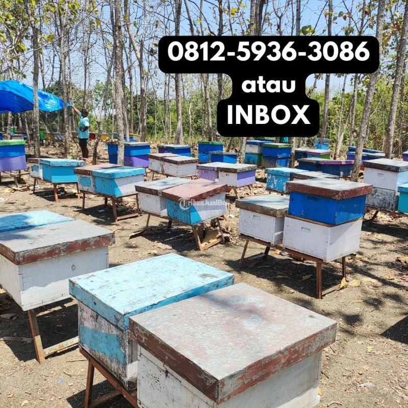 Grosir Madu Asli Murni Murah, Supplier Madu Murah Terbaik di Indonesia - Banjarnegara
