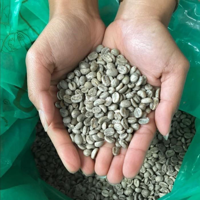 Supplier Green Bean Coffee - Makassar