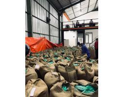 Green Coffee Bean Suppliers - Makassar