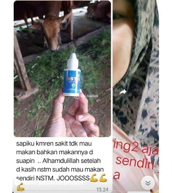 NSTM Solusi Untuk Ternak Yang Sakit  Tidak Mau Makan - Pasuruan