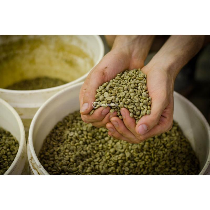 Green Coffee Beans Supplier In Indonesia - Makassar