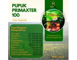 Pupuk PMX 100 Solusi Tepat untuk Pertumbuhan Tanaman Optimal - Pasuruan 