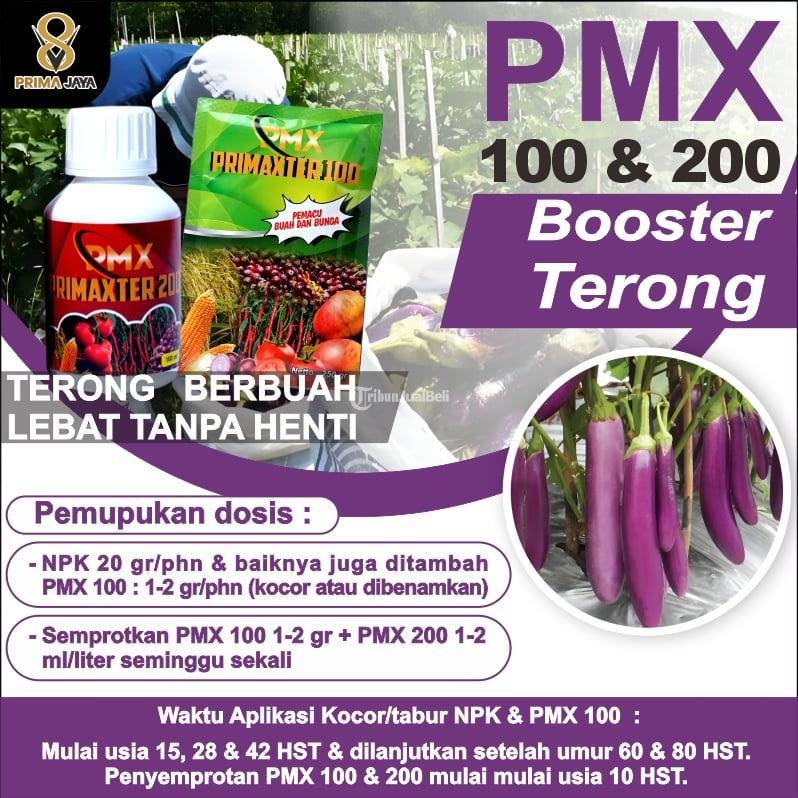 Pupuk Ampuh PMX 100 Murah - Pasuruan 
