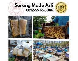 Grosir Sarang Madu Asli, Murah Harga Terbaik - Aceh Barat