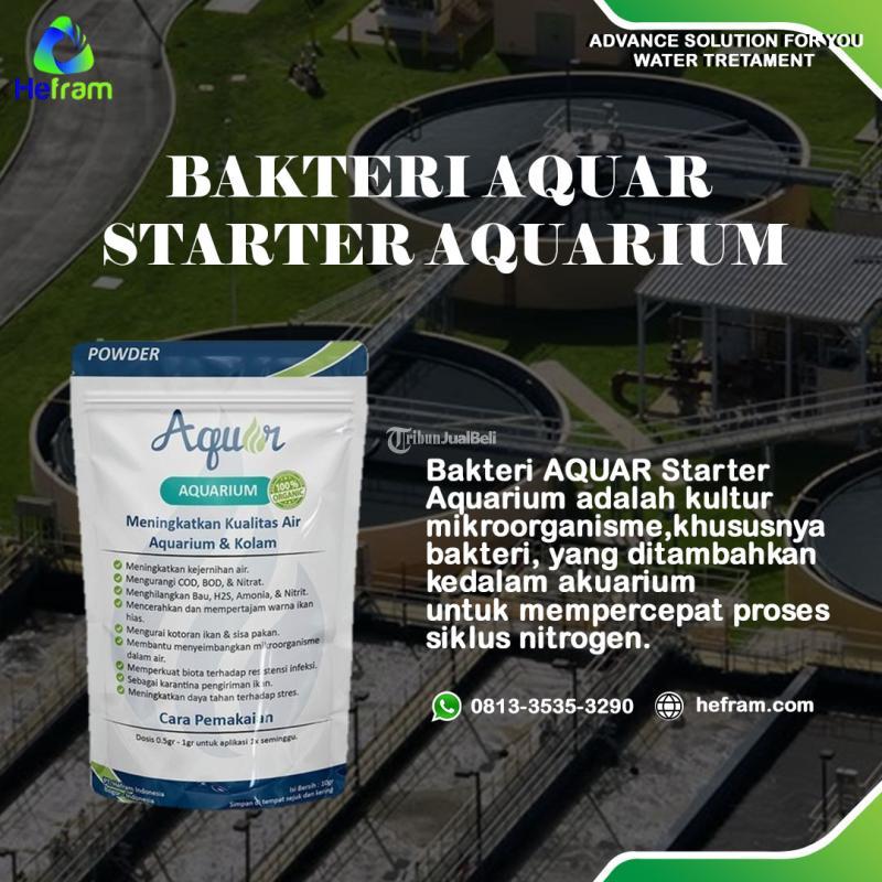 Bakteri AQUAR Starter Aquarium - Bogor
