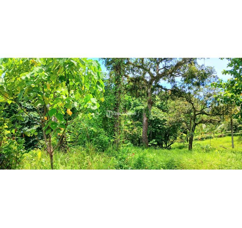 Disewakan Tanah, Luas 2500m2, Leasehold Jangka Panjang, dekat Pantai Bonian, Selemadeg, Tabanan - Bali