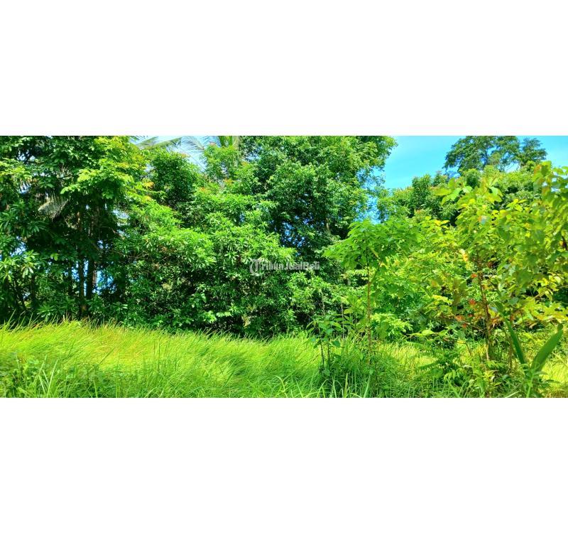 Disewakan Tanah, Luas 2500m2, Leasehold Jangka Panjang, dekat Pantai Bonian, Selemadeg, Tabanan - Bali