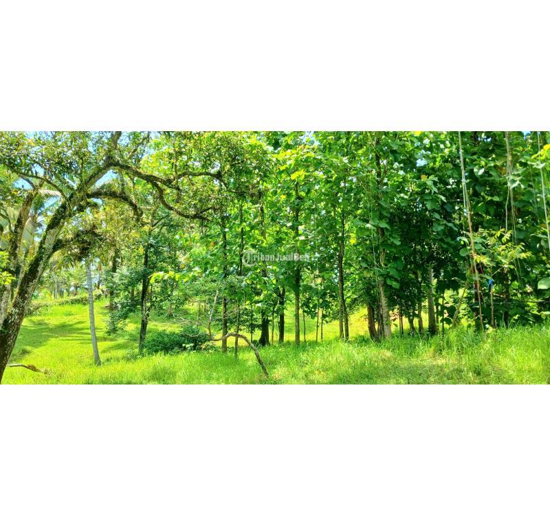 Disewakan Tanah, Luas 2500m2, Leasehold Jangka Panjang, dekat Pantai Bonian, Selemadeg, Tabanan - Bali