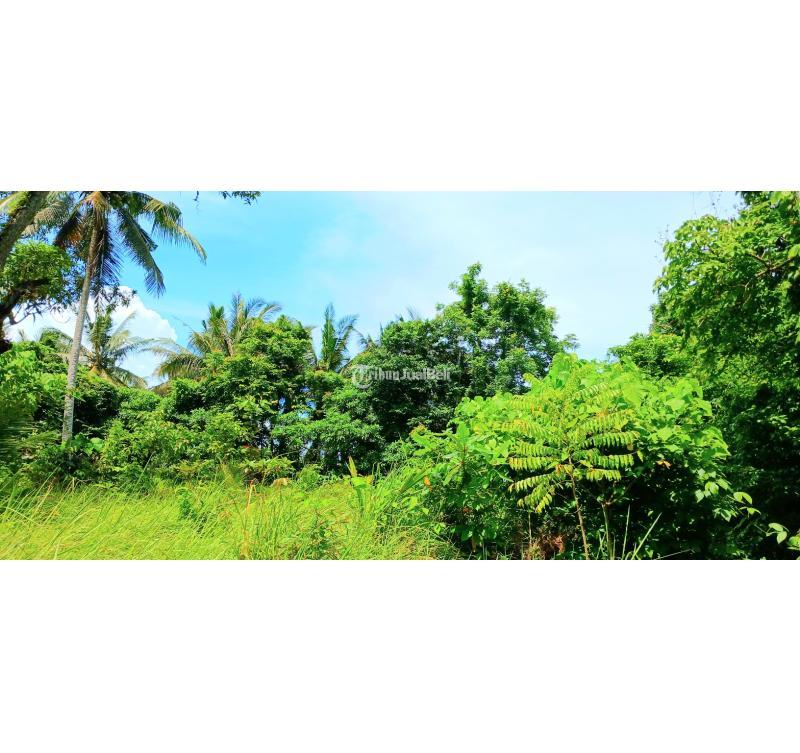Disewakan Tanah, Luas 2500m2, Leasehold Jangka Panjang, dekat Pantai Bonian, Selemadeg, Tabanan - Bali