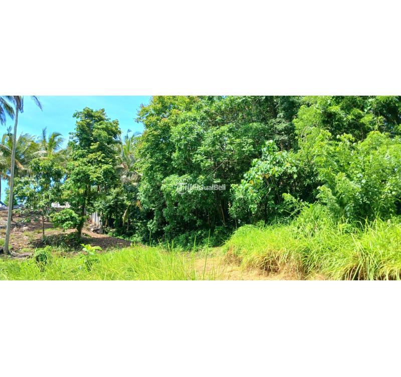 Disewakan Tanah, Luas 2500m2, Leasehold Jangka Panjang, dekat Pantai Bonian, Selemadeg, Tabanan - Bali