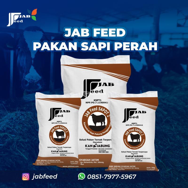 Jab Feed Pakan Sapi Perah - Malang