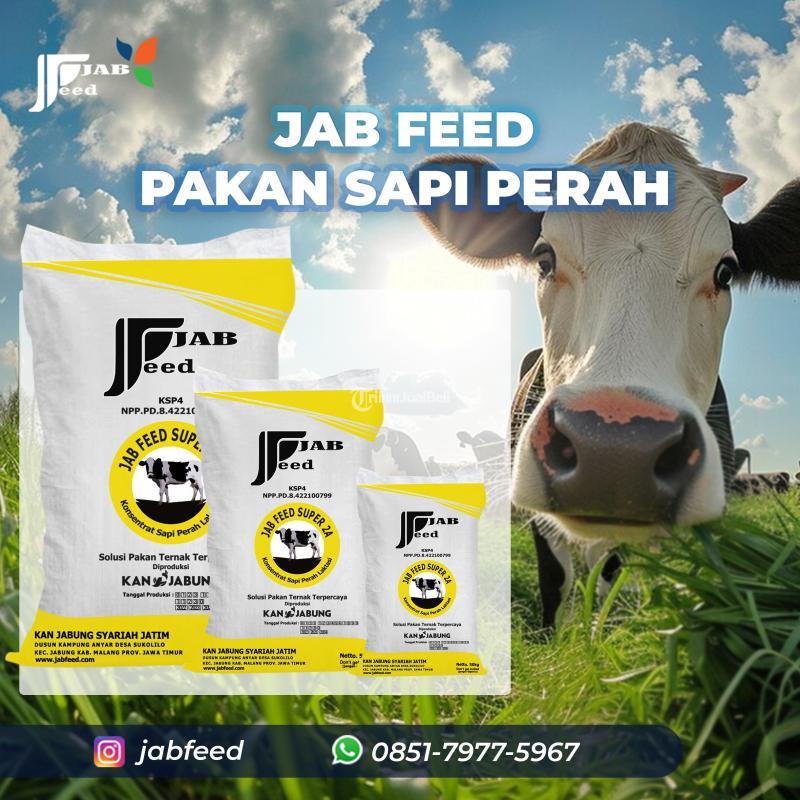 Jab Feed Pakan Sapi Perah - Malang 