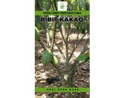 TSEL Sentra Bibit Coklat Unggul - Tulang Bawang 