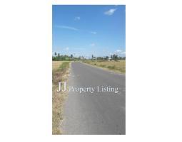 Jual Tanah Luas 10.000 m2  - Bone Bolango