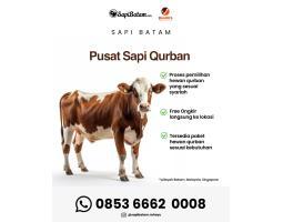 Qurban Sapi di Batam Rahayu Terpercaya - Batam 