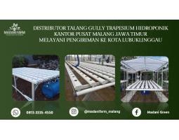 Agen Grosir Talang Gully - Kota Lubuklinggau