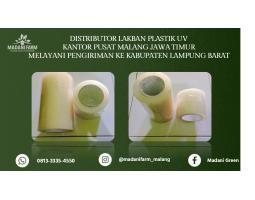  Agen Grosir Lakban UV - Lampung Barat 