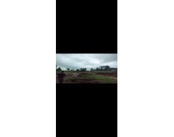 Dijual Tanah Luas 60.000 m2 Di Kec Kuta Selatan - Badung