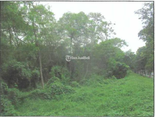 Jual Tanah Komersil 3,2 Hektar di Sebrang Lippo Mall Cikarang, Cikarang Selatan - Bekasi